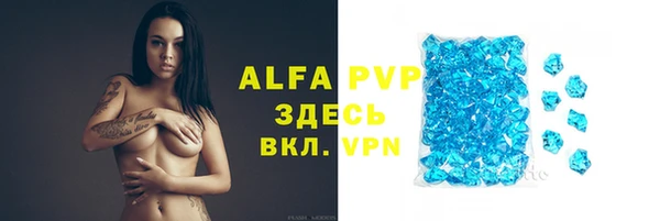 сатива Каменка